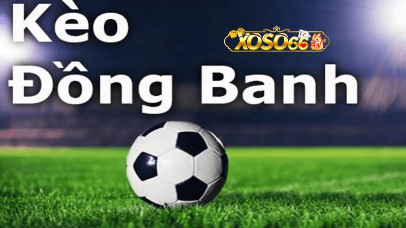 Mẹo Cá Cược Kèo Đồng Banh Tại Xoso66